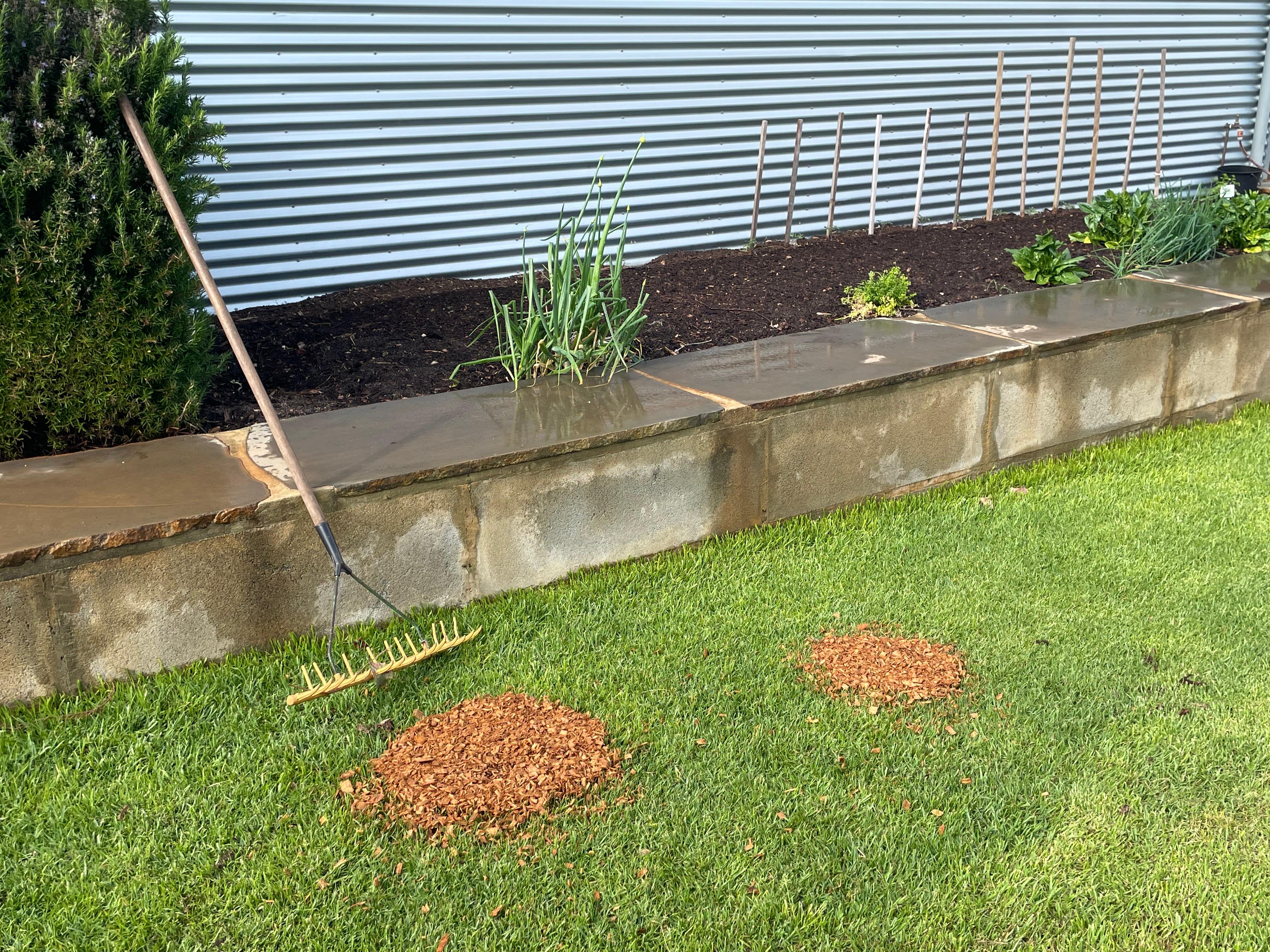 After stump removal - cleared residential property