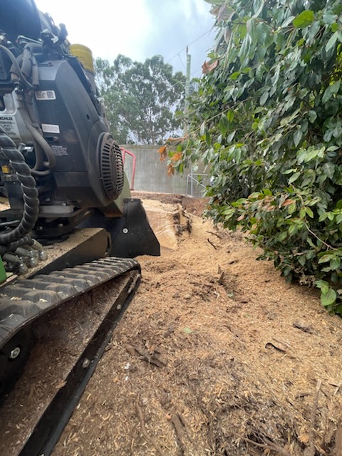 Professional stump grinding service in Margaret River