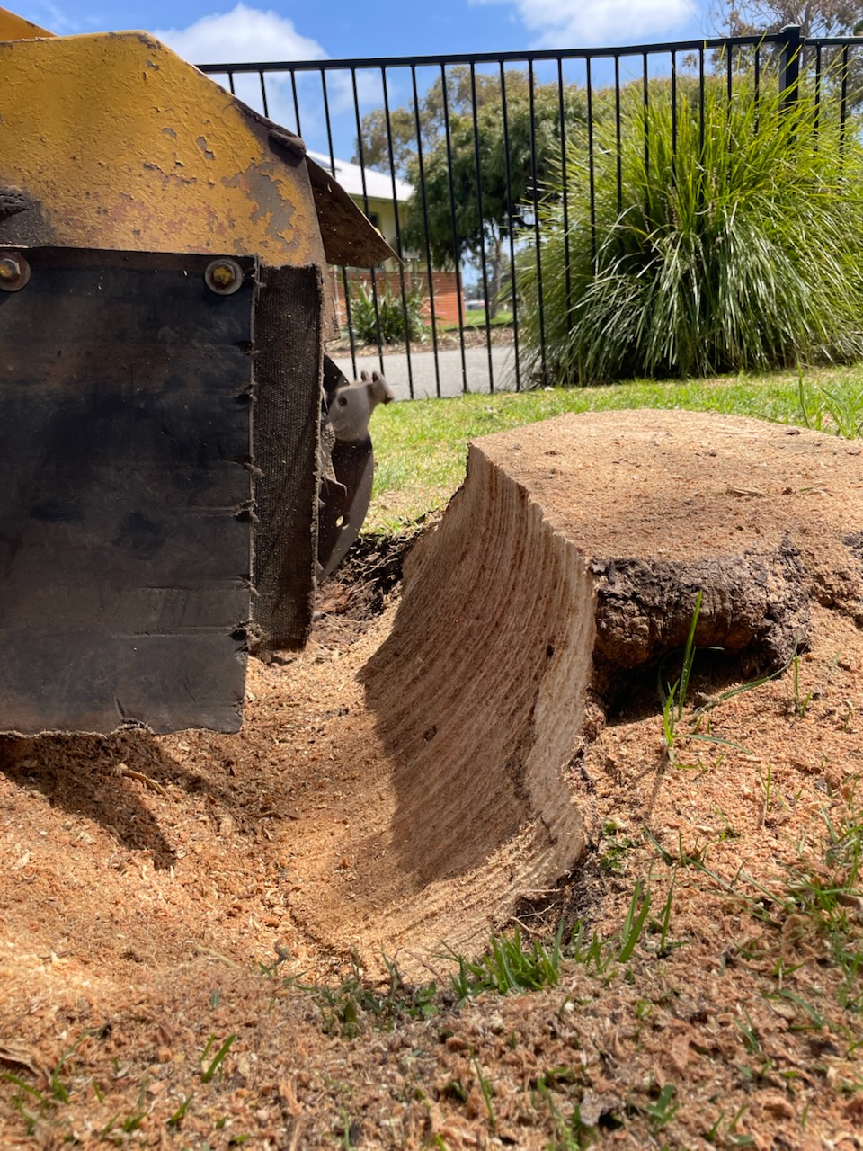 Commercial stump removal South West WA