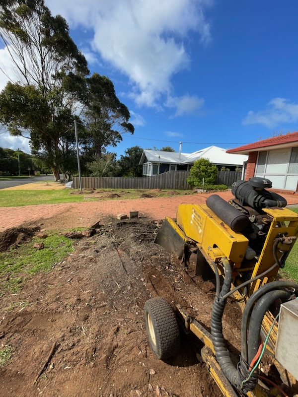 Professional tree services Cowaramup
